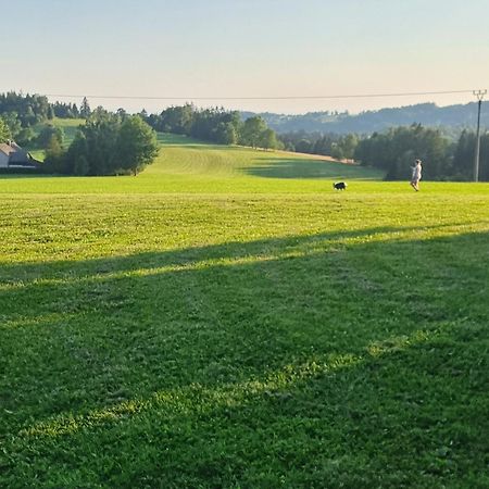 Roubenka Mlyn U Skaly Destne V Orlickych Horach Volne Terminy 5 Bytu Apartment Bagian luar foto