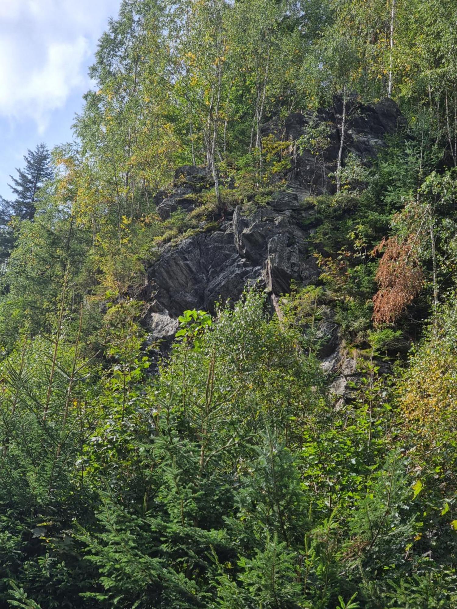 Roubenka Mlyn U Skaly Destne V Orlickych Horach Volne Terminy 5 Bytu Bagian luar foto