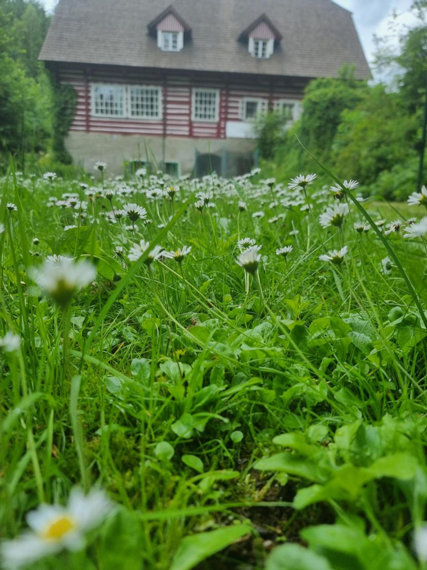 Roubenka Mlyn U Skaly Destne V Orlickych Horach Volne Terminy 5 Bytu Apartment Bagian luar foto