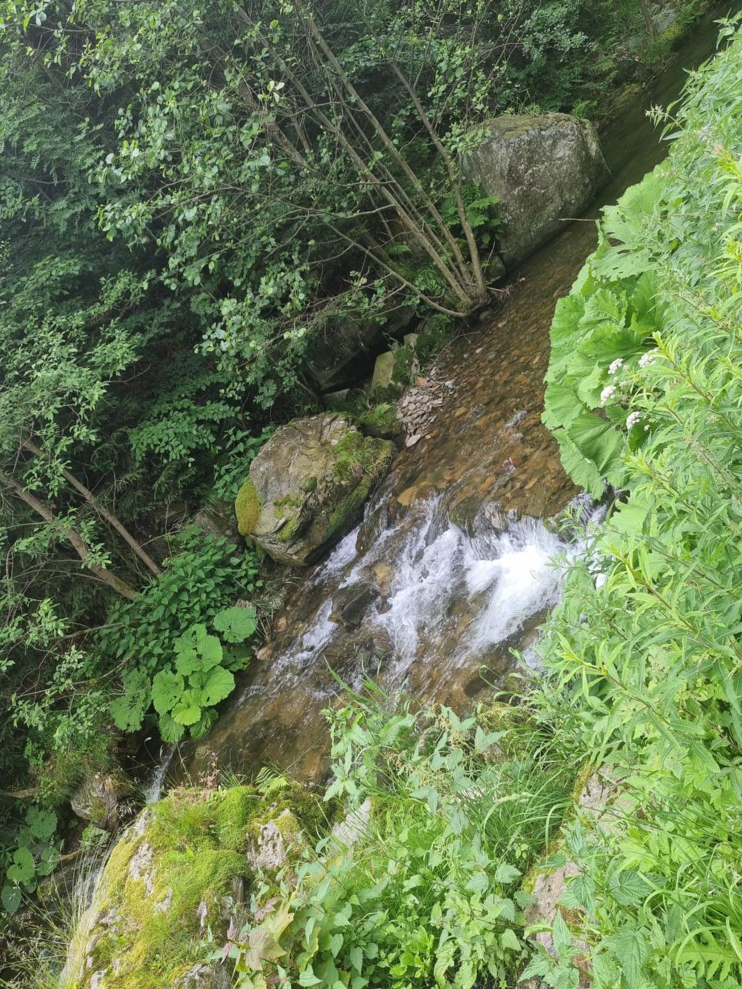 Roubenka Mlyn U Skaly Destne V Orlickych Horach Volne Terminy 5 Bytu Bagian luar foto