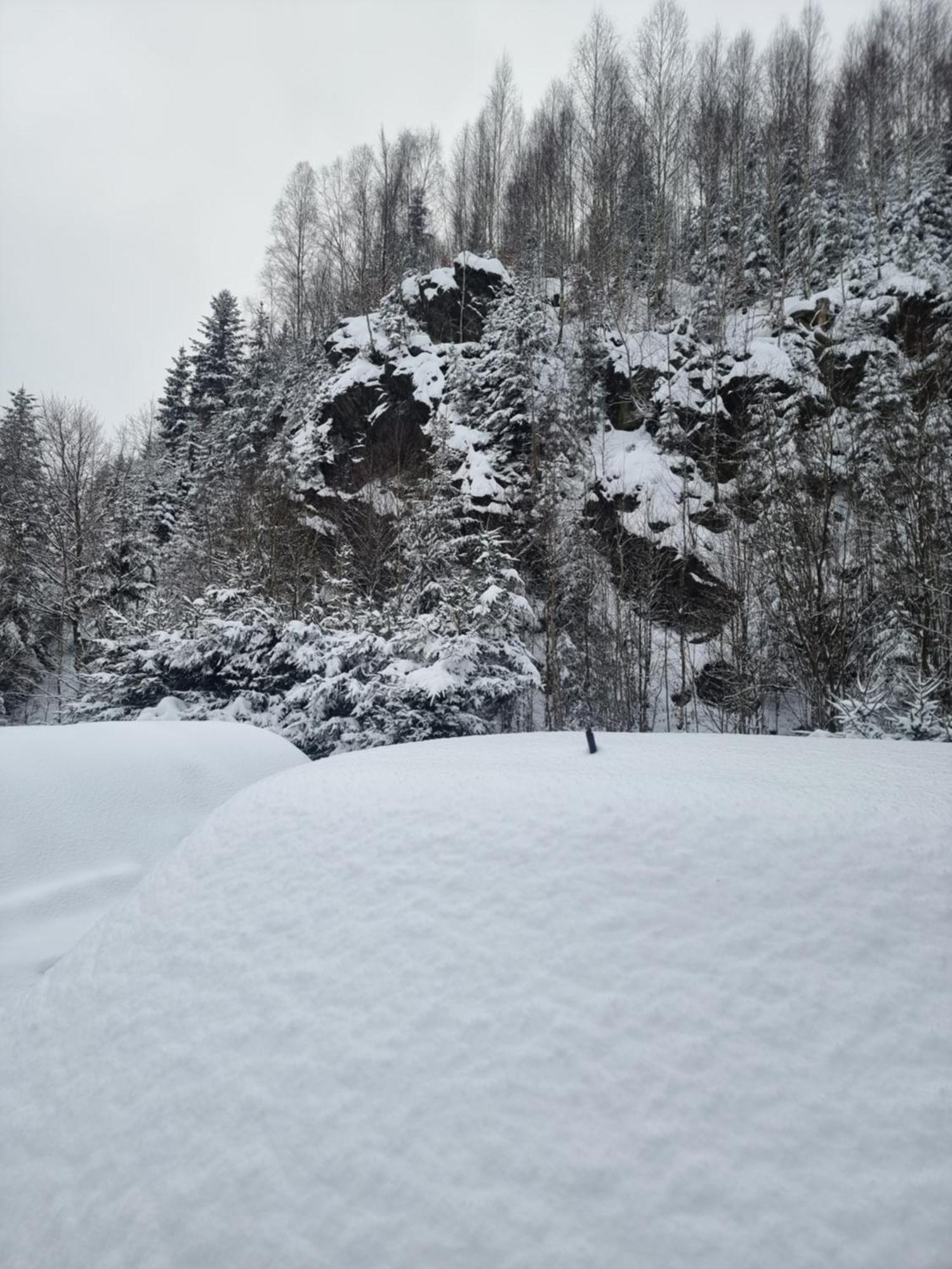 Roubenka Mlyn U Skaly Destne V Orlickych Horach Volne Terminy 5 Bytu Bagian luar foto