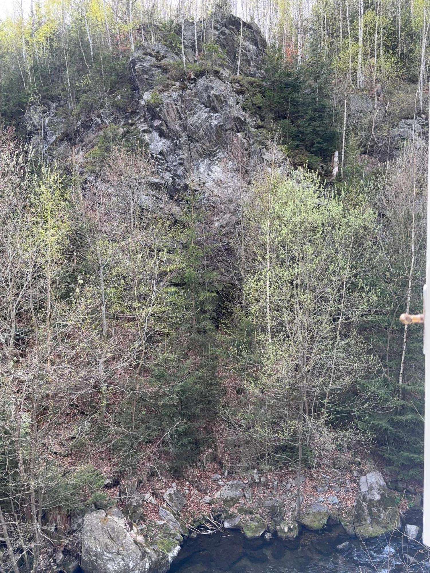 Roubenka Mlyn U Skaly Destne V Orlickych Horach Volne Terminy 5 Bytu Bagian luar foto